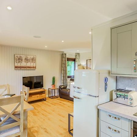 Birch Lodge 13 With Hot Tub Newton Stewart Extérieur photo